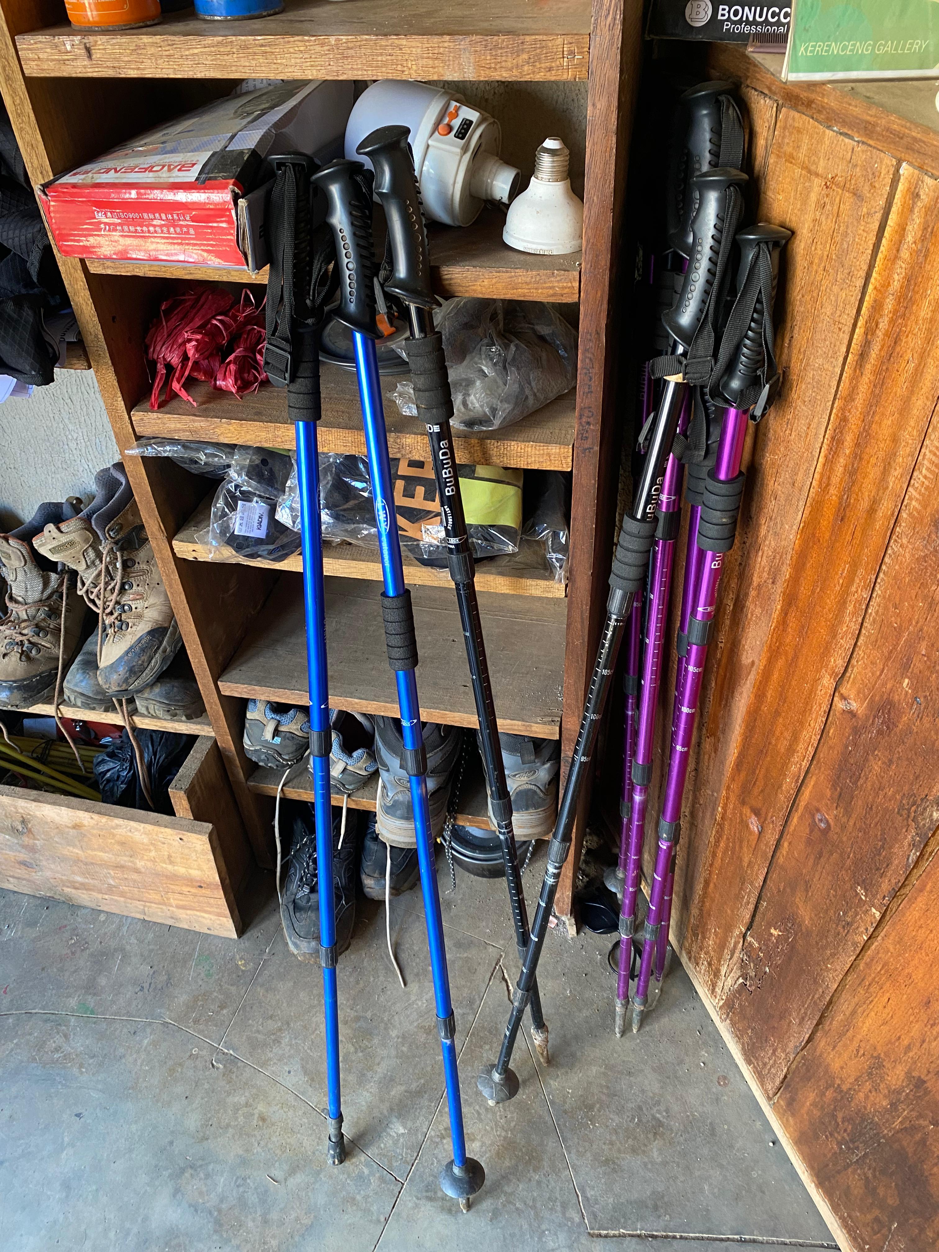 Treking pole
