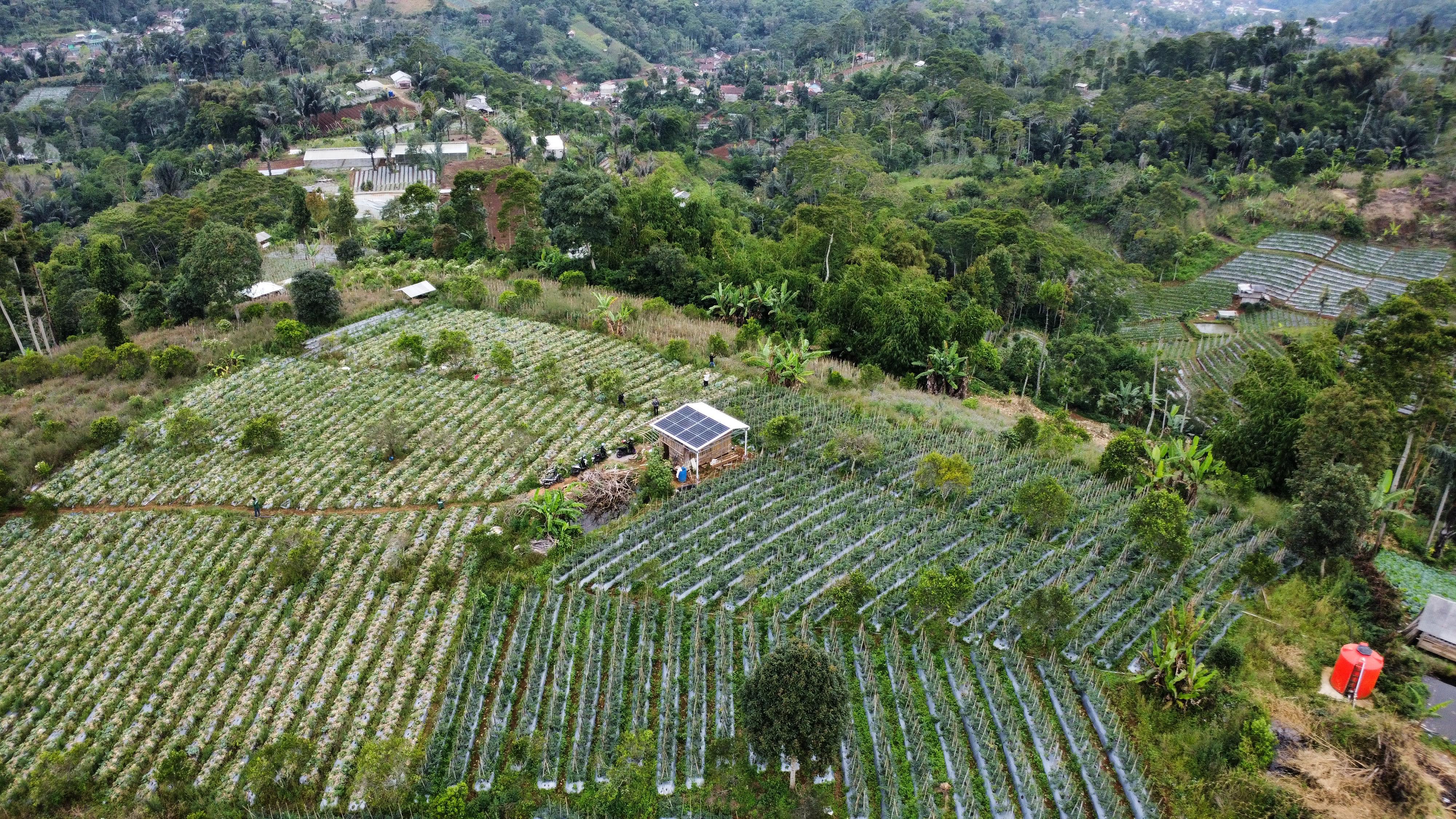 Agro Eduwisata BaruImun Hill